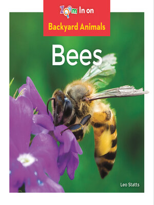 cover image of Bees